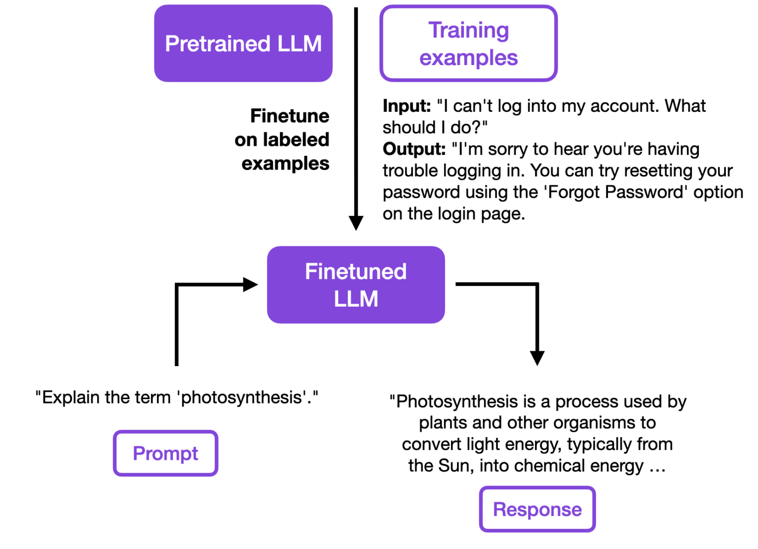 Finetuning Falcon LLMs More Efficiently With LoRA And Adapters Lightning AI